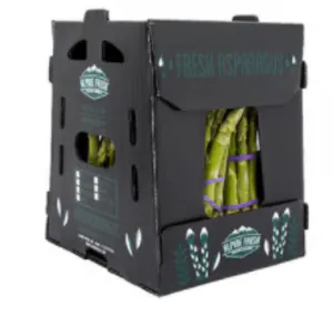 CAIXAS PARA  VEGETAIS